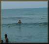 Lumi_at_beach__8_