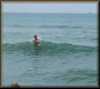 Lumi_at_beach__9_